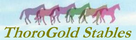ThoroGold Stablels Home Page